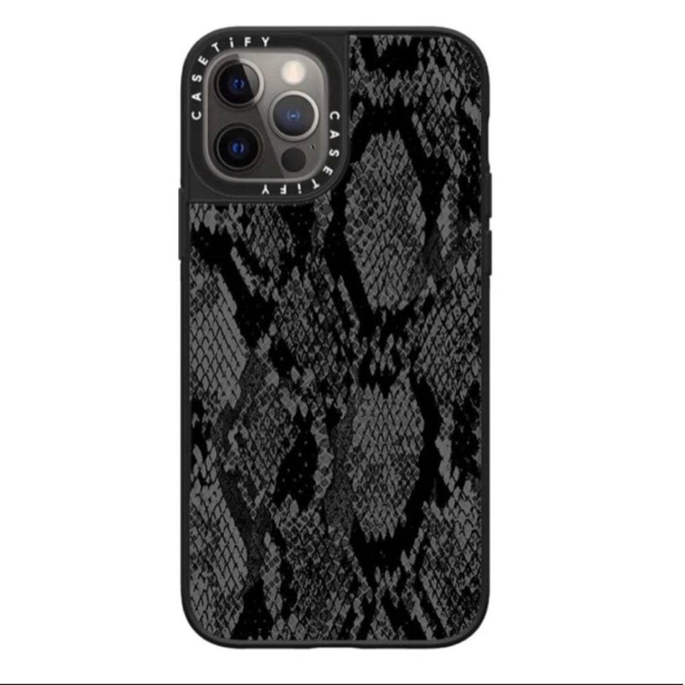 iPhone 11 Pro max casetify case